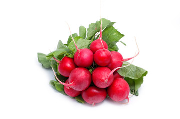 Radishes
