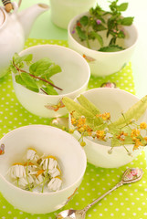 four cups to prepare herbal tea