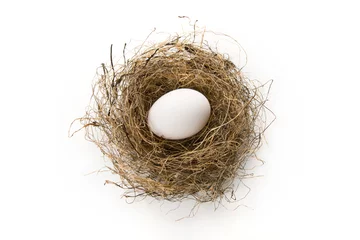 Fotobehang Eieren Nest egg  © fotopak