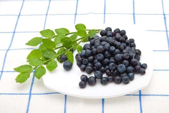blueberry on a plate