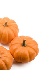 Pumpkin isolated on white. For Halloween, thanksgiving holiday.