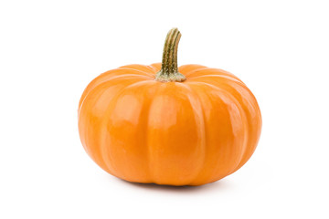 Pumpkin isolated on white. For Halloween, thanksgiving holiday.