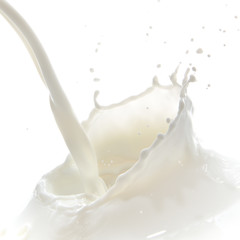 Obraz na płótnie Canvas mleka splash