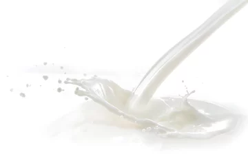 Poster de jardin Milk-shake éclaboussure de lait