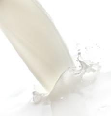 milk splash