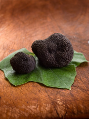 black truffle over leaf on wood background