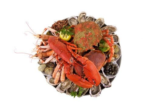 plateau de fruits de mer