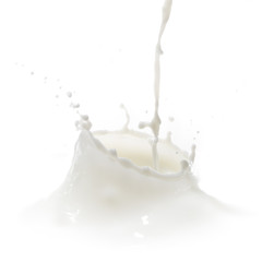 milk splash