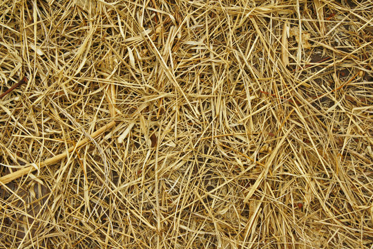 Straw background