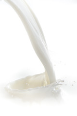 milk splash