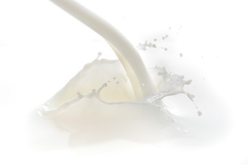milk splash
