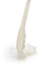 milk splash