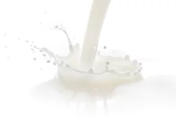 Papier Peint photo Milk-shake milk splash