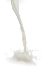 Papier Peint photo autocollant Milk-shake milk splash