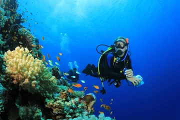 Papier Peint photo Lavable Plonger Scuba Diver explore les récifs coralliens dans la mer tropicale