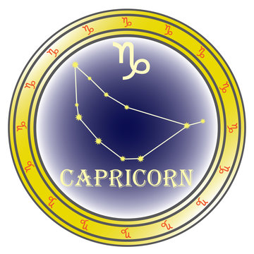 zodiac sign capricorn