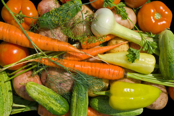 Heap of vegetables 10