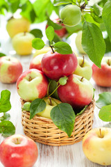 fresh apples
