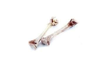 chicken bones
