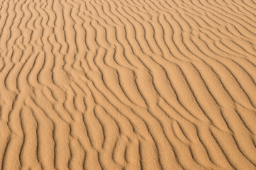 Sand dune texture