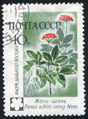 poststamp flower