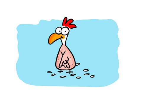 gerupftes huhn
