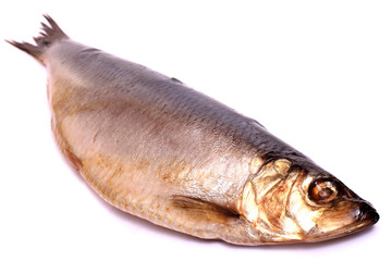 Herring