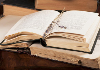Books and dry lavender  on dark background