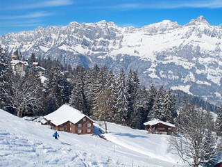 Winter in alps