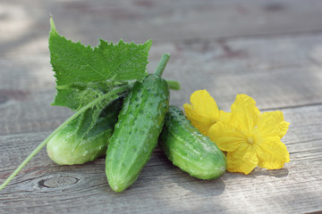 Cucumbers