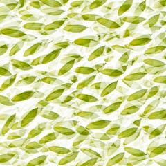 Background with leaves