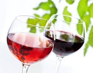 Wine