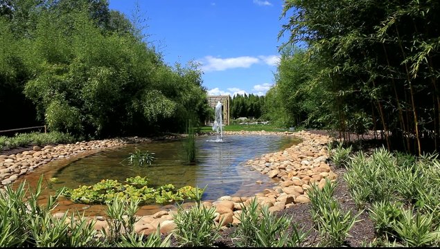 bassin aquatique de jardin japonais