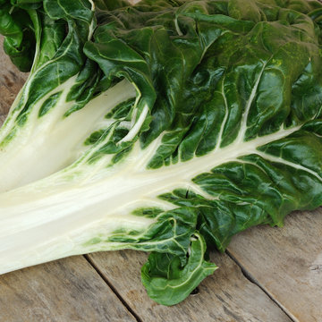 c&ocirc;tes de bettes