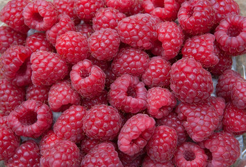 Juicy Raspberries