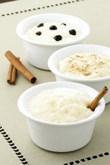 delicious rice pudding