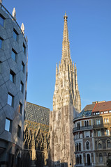 stephansdom wien
