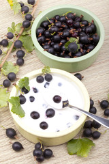 healthy dessert with jostaberries and plain yogurt.