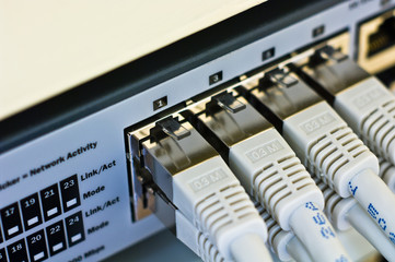 RJ 45 Patchkabel an Ethernet Switch