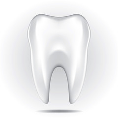 Tooth Set 3