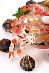 TRE TRIGLE E UNO SCAMPO