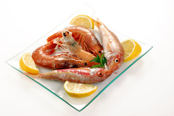 TRIGLIE CON GAMBERI ED UNO SCAMPO