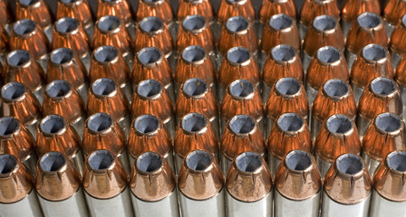 Hollow point bullets