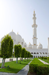 Fototapeta na wymiar Sheikh Zayed Mosque in Abu Dhabi City