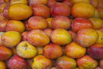 tropical mango