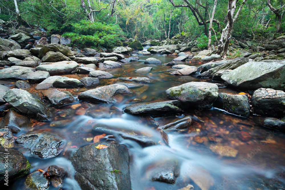 Wall mural water spring in jungle