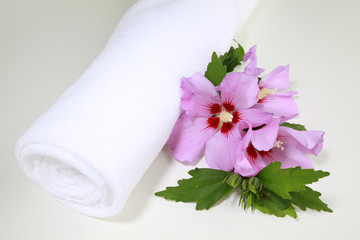 Fototapeta na wymiar Hibiscus kwiaty z białym ręcznikiem i szklane kulki