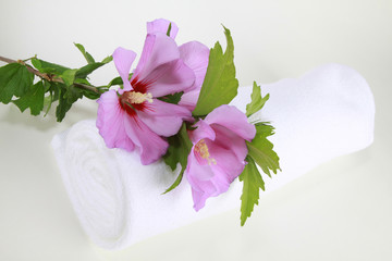 Hibiskusblüten mit weißem Handtuch