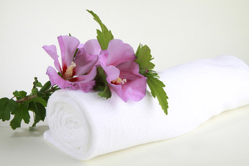 Fototapeta na wymiar Hibiscus kwiaty z białym ręcznikiem