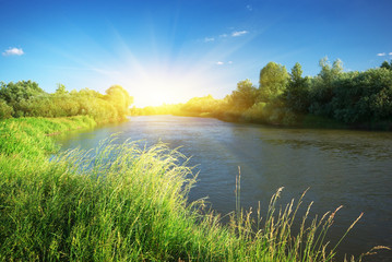 River and spring forest